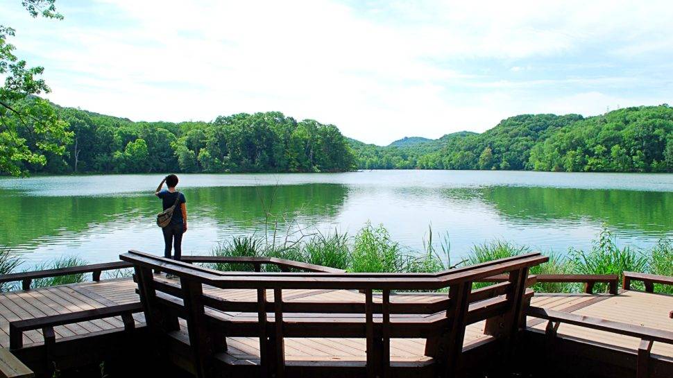 Park 10
